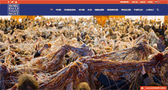 Desktop Screenshot of moreballs.com
